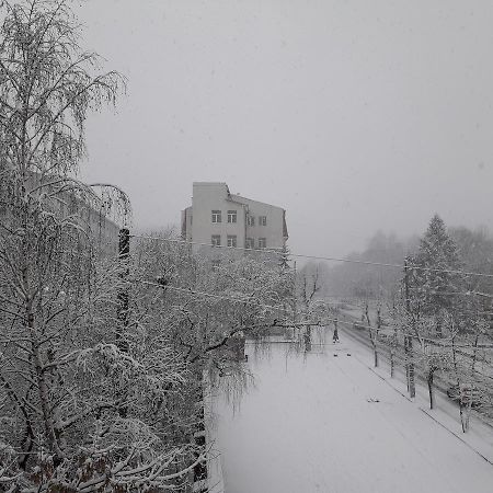 Avino Apart - Hostel Lviv Kültér fotó
